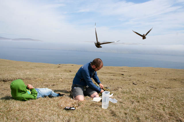 How and why to do an online conference — #WSTC2